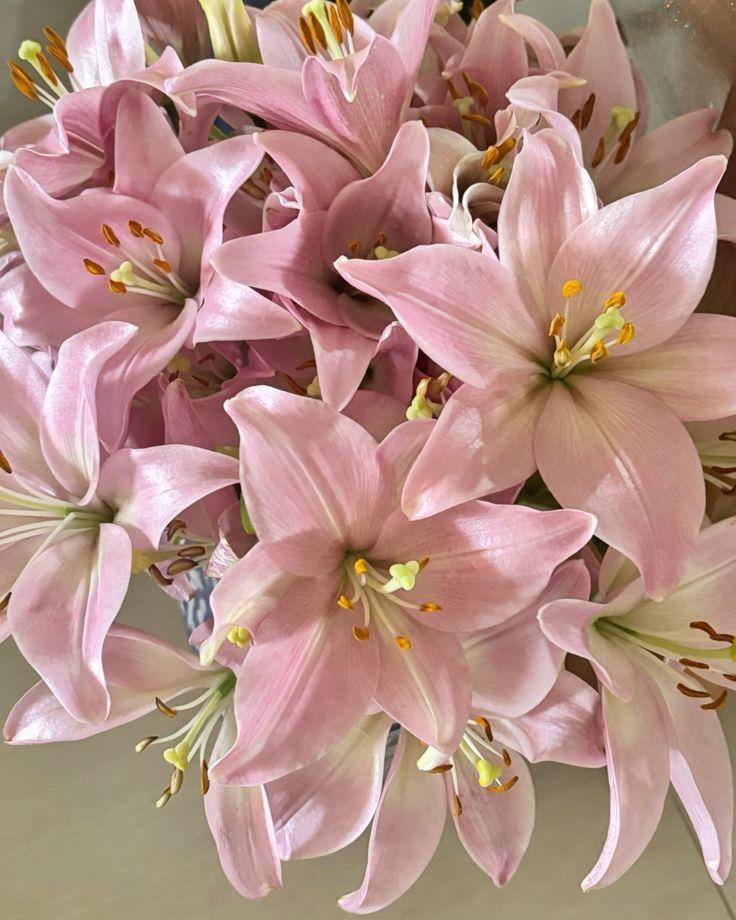 Serenity Sunbeam Blossom Array
